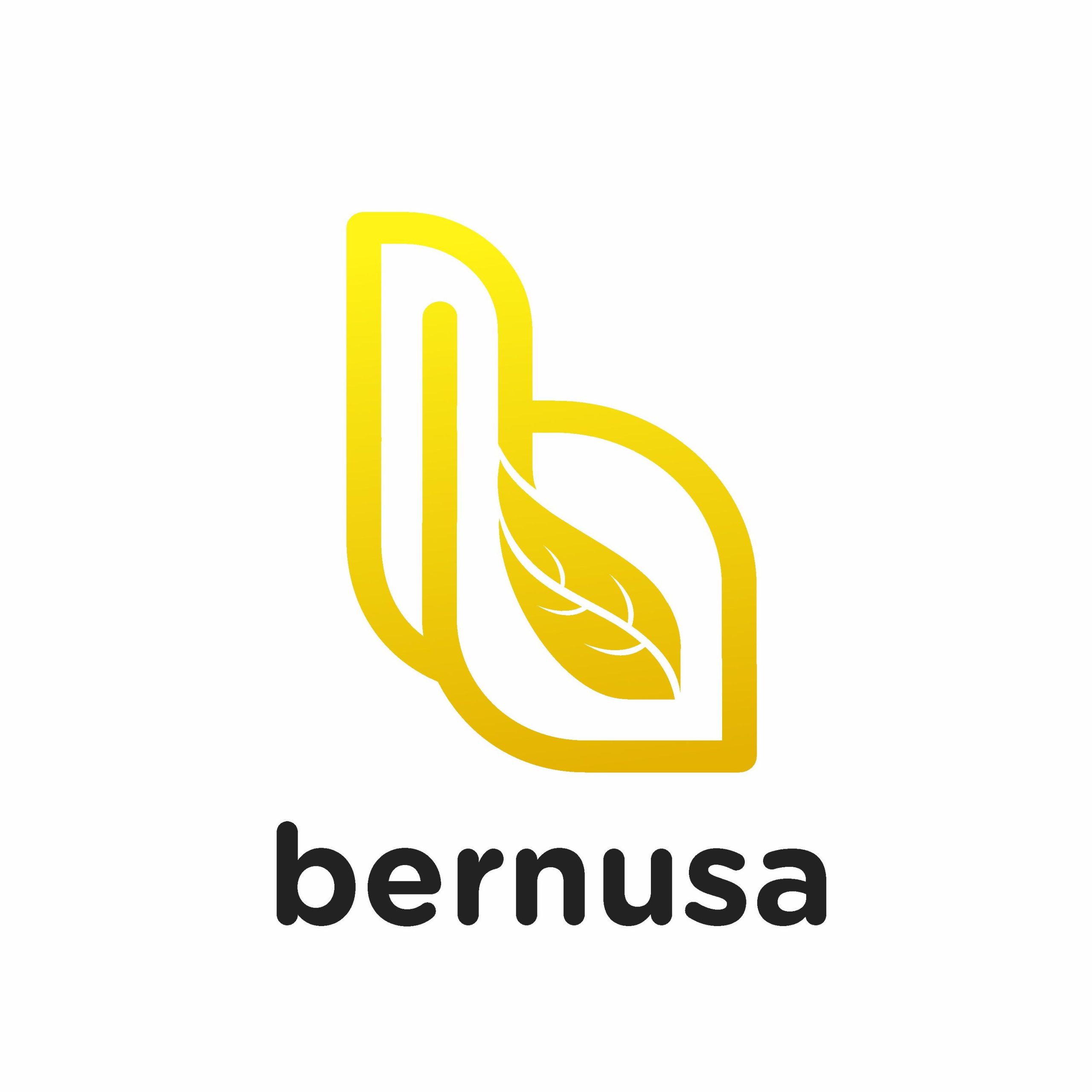 bernusa-icon