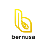 bernusa-icon